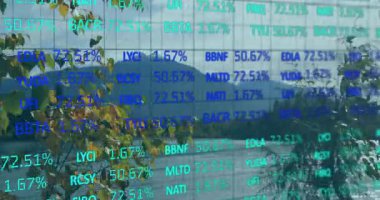 Açılış sahnesinde görünen şeffaf kaplama göldeki pazar değişimlerini göstermek için yüzdeleri güncelliyor. Doğa, dinginlik, veri görselleştirme, manzara, sükunet, teknoloji, çevre