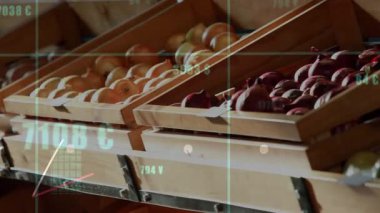 Sandıklar statik ekranda, ızgara kaplamaları, çubuk grafikleri, analiz için çizgi grafikleri. Taze üretim, pazar görüntüleme, veri görselleştirme, dijital analitik, kırsal çevre, kaliteli malzemeler, görsel ölçüler