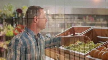 Ürün bölümüne giriyoruz, ahşap kutuları tarayan adam yeşil elma seçiyor ve gülümseyen meyveleri seçiyor. Tazelik, sağlıklı, tüketici, perakende, canlılık, doğal, organik