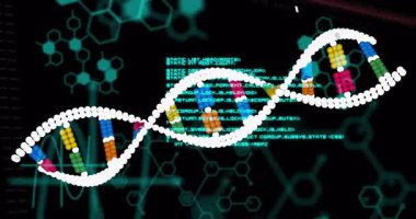 Gelişmekte olan DNA sarmalları sürükleniyor ve kod akışları arasında yakınlaşıyor, genetik tutarlılığı vurguluyor. Volumetrik, geleceksel, moleküler, teknoloji, bilimsel, dijital, soyut