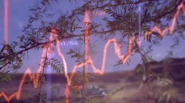 Dalgalanan verileri ve kayan ok işaretlerini takip eden dallarda solup giden neon dalga formunu duraklattıktan sonra. Doğa, veri görselleştirme, minimalist, fütürist, çevresel, soyut, teknoloji