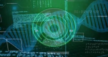 Arka plan yeşile dönüyor HUD ortaya çıkıyor, halka dönüyor ve DNA analizi için kod kaydırılıyor. Biyoteknoloji, veri görselleştirme, fütüristik, sentetik, yenilik, dijital arayüz, bilim