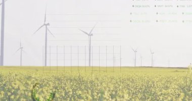 ızgara türbin alanı üzerinde kayboluyor, grafikler çizim ve gölgeleme çubukları yükselen göstergeler soluyor. Yenilenebilir enerji, sürdürülebilirlik, veri analizi, doğal manzara, çevre teknolojisi, rüzgargücü, görselleştirme
