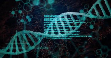 Parlayan turkuaz DNA sarmalı kaydırma kodunu başlatıyor ve altıgenler UI 'nın görselleştirdiği verileri atıyor. Biyoteknoloji, yenilik, gelecek, dijital, soyut, teknoloji, bilim