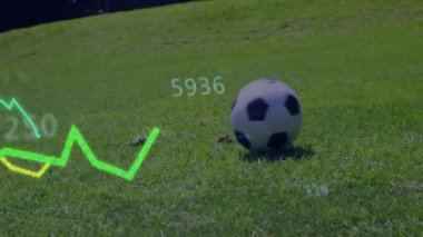 Futbol topunun güneş ışığında yuvarlanması veri grafiklerinin yükselmesine ve oyuncunun top kaymasına neden oldu. Atletik, spor, performans, açık hava, rekabetçi, spor, dinamik