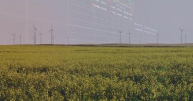 Şebeke ortaya çıkmadan önce sarı ekin alanı sabit duruyor, rüzgar verilerini gösteren noktalarla birlikte eğri büyüyor. Yenilenebilir, sürdürülebilirlik, analitik, manzara, enerji, veri görselleştirme, tarım