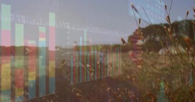 Nabız çizelgelerini grafiğe dönüştür, beyaz kamyonu görüntüleme alanında görüntüle. Veri analizi, görselleştirme, kırsal alan, günbatımı manzarası, dağ haritaları, tarım alanı, teknoloji entegrasyonu