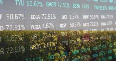 Kanola sahasının açılması piyasa eğilimlerini gösteren yükselen ve düşen değerleri gösteren finansal saatlerin canlandırılması. Kırsal, peyzaj, veri, görselleştirme, yenilenebilir, doğa, teknoloji