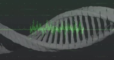 Beyaz çift sarmal ortaya çıkıyor, 3 boyutlu dönüyor ve analiz için sarmal boyunca yeşil dalga şeklinde titreşiyor. DNA, genetik, veri görselleştirme, bilimsel, dijital, teknoloji, biyoteknoloji