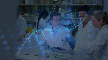 Laptop veri incelemesinden sonra, yaşam bilimi ekibi tüpleri dolduruyor ve giriş sonuçları, sarmal süpürme bankı. Araştırma, işbirliği, mükemmellik, yenilik, bilim, laboratuvar, takım çalışması