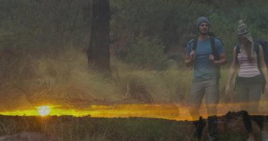 Dışarıdan gelen gezginler altın ışığın altında orman zeminini incelemek için ara veriyorlar. Doğa, macera, keşif, yürüyüş, vahşi doğa, sükunet, açık hava