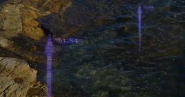 Sudan çıkan mor oklar kıyı verilerini başlatıyor, yükselen oklar, kaybolan veriler. Görselleştirme, analitik, deniz, veri, keşif, minimalist, teknoloji