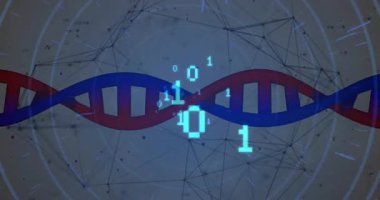 Kırmızı mavi kurdeleler giriyor, sarmala dönüşüyor, siyan parmaklar sürükleniyor, verileri gösteren şebeke kayması. Moleküler, geleceksel, bilim, teknoloji, soyut, yenilik, dijital