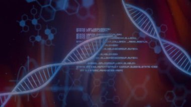 Solan DNA sarmalları parçalanır, yerleşir, güncellenir genetik verileri görselleştirir. Genetik, moleküler, geleceksel, görselleştirme, yenilik, teknoloji, bilimsel