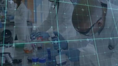 Pipetin seçilmesi üzerine iki bilimadamı hassas olmak için laboratuvar şebekesi altında pipetleme yapıyorlar. Laboratuvar, araştırma, kesinlik, bilimsel, teknoloji, yenilik, takım çalışması