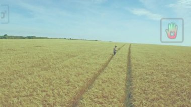 Çiftçi etkinleştirme cihazı, analiz için buğday tarama sapının üzerinde AR CO su damlası simgeleri gösteriyor. Tarım, yenilik, sürdürülebilirlik, kesinlik, teknoloji, çevre, veri.
