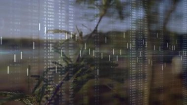 Veri sütunları kayarken ve şamdanlar veri akışını gösterirken dallar yükselmeye başladığında. Doğa, veri, teknoloji, analitik, dijital, minimalizm, soyut