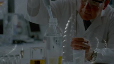 Kıdemli bilim adamı pipet pipet sıvısına uzanıyor. Araştırma laboratuarında kesinlik sağlamak için. Bilim adamı, laboratuvar, kesinlik, deney, kimyasal, araştırma, analitik