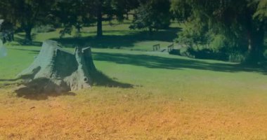 Bayan çocuk parka giriyor kütüğün önünden geçiyor ve eğitim için numaralandırılmış balonları aktifleştiriyor. Oyun, masumiyet, açık hava, kutlama, canlı, kaprisli, çocukluk