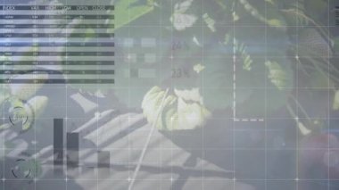 Çilek dalına yakın plan açılışı başlangıç ızgarası büyüme analizi için güncelleme grafiklerini örtüyor. Tarım, veri görselleştirme, bilimsel, çevre dostu, araştırma, analiz, bilgi