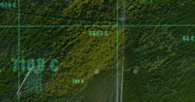 Orman ızgaraları üzerinde kaybolan koordinatlar yükselen çizgiler, veri eğilimlerini gösteren etiketler. Veri görselleştirme, analitik, orman, hava perspektifi, finansal tablolar, grafik, eğilim analizi