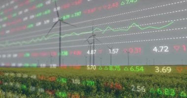 Çayır ve türbinler ortaya çıktıktan sonra, veri akış saatlerini ve pazar eğilimlerini gösteren grafiği örtüyor. Sürdürülebilirlik, yenilenebilirlik, enerji, teknoloji, çevre, çevre dostu, dijital