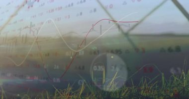 Çitin arkasındaki çiğ tanelerini, piyasa değişimlerini gösteren kırmızı-beyaz trend çizgilerini gösteriyor. Çit, manzara, veri görselleştirme, finans, grafik, gün doğumu, ufuk