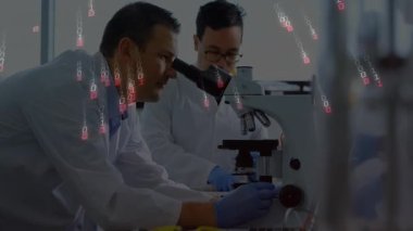 Araştırmacılar, mikroskop yerleştirme, mikroskop yerleştirme ve araştırma için kaybolan ikili kod. Bilim, işbirliği, yenilik, teknoloji, kesinlik, veri, araştırma