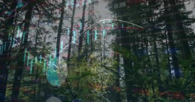 Titremeye başlayan soluk çubuklar ve orman üzerinde hareket eden trend çizgisi pazar verilerini gösteriyor. Doğa, dijital, görselleştirme, veri, teknoloji, analitik, soyut