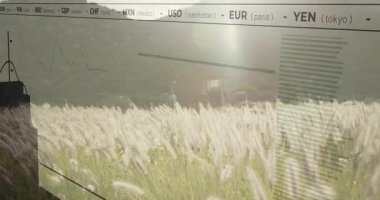 3 boyutlu gündoğumu çimenleri sallıyor, para birimleri grafiği piyasa eğilimlerini gösteriyor. Doğa, manzara, finans, veri, analitik, animasyon, zaman aşımı