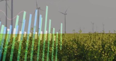 Bir saniye sonra çizgiler soluyor ve pembe eğriyi birbirine bağlayan yeşil çizgi kolza çekirdeği tarlasında zikzak çiziyor. Yenilenebilir enerji, sürdürülebilirlik, veri görselleştirme, tarım, manzara, teknoloji, çevre dostu