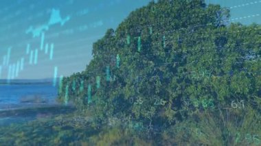 Mangrove çizelgeleri almaya çubuk göstergelerini canlandırmaya başladıktan sonra verileri gösteren sahiller kayboluyor. Sahil, manzara, grafikler, veri, finans, analitik, teknoloji