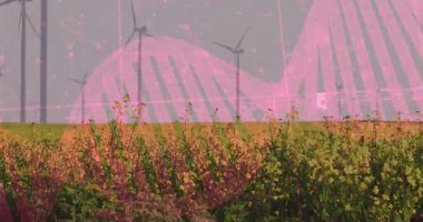 Pembe sarmallı kareyi göstermeye başla. Darbe darbeleri zayıflıyor. Görselleştirme verileri rüzgar türbinlerini ortaya çıkarıyor. Fütürist, eko, teknik, yenilenebilir, manzara, yenilik, dijital