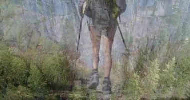 Yürüyüşçü alp patikası boyunca sağ ayak öne adım atıyor, fitness yürüyüşünde denge için sırık dikiyor. Macera, keşif, vahşi doğa, dağ, açık hava, dayanıklılık, doğa.