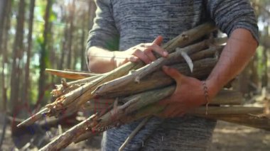 Orman yönetimindeki adam eğilip dalları topluyor ve canlandırılmış sopa sayısı artıyor. Doğa, ormancılık, sürdürülebilir, kırsal, açık hava, organik, çevresel