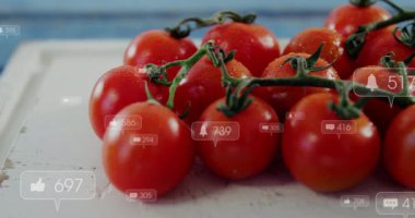 Çeri domatesleri yüzen ikonları gösteriyor, sayaçlar tırmanıyor ve nişan döngüsünü gösteriyor. Taze ürün, sosyal medya, dijital etkileşim, kırsal dekor, canlı renkler, sağlık, aşçılık