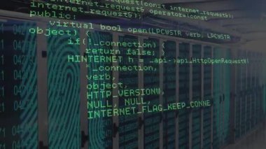 Dikey olarak yeşil C kodu kırmızı parmak izi sunucuları üzerinde InternetReadFile başlatılıyor. Siber güvenlik, veri merkezleri, dijital altyapı, teknolojik yenilik, programlama, ağ güvenliği, sunucu teknolojisi