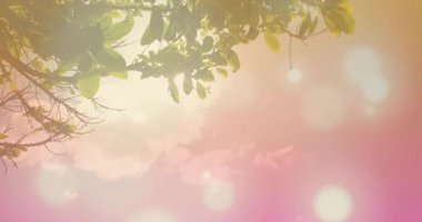 Bokeh, hayat tarzı reklamları için korkuluklara yaslanan ve öpüşen bir çifti ortaya çıkarmaya çalışıyor. Romantizm, samimiyet, atmosfer, dinginlik, siluet, akşam, bağlantı