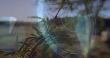 Rüzgar çam dalını sallarken holografik radar arayüzü arazi taraması için titreşiyor. Doğa, teknoloji, fütürizm, dinginlik, manzara, yenilik, dijital