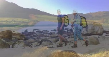 Olgun yürüyüşçüler kareye giriyor kayalık kıyılarda yürüyor güneş doğuyor sarı paketler kutupları dengeliyor. Macera, keşif, engebeli, dinginlik, açık hava, doğa, refah