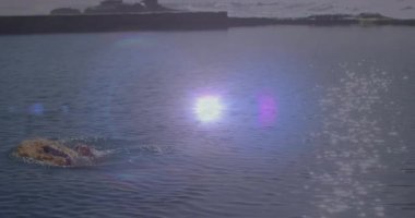 Şafak vakti sakin liman suyuna adım atan bir kadın güneş yansıması ile yüzen sağlığını artırıyor. Dinginlik, rahatlama, su, rahatlık, minimalist, doğal, sağIık