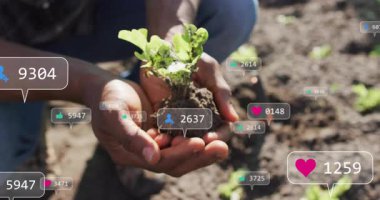 Erkek bahçıvanın diz çöküp fideleri kaldırması pazarlama bildirim baloncuklarının kaybolmasına neden oluyor. Organik, büyüme, yenilik, topluluk, sürdürülebilir, canlı, çevre dostu