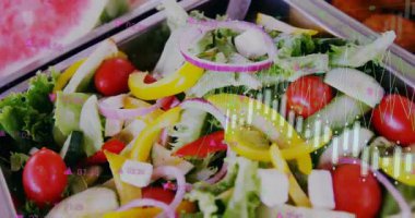 Başlangıçta, dijital grafik salata tepsisinin üzerinde yüzer nabzı atar ve tazelik ölçülerini görselleştirir. Tazelik, beslenme, sağlıklı, veri görselleştirme, teknoloji, catering, modern