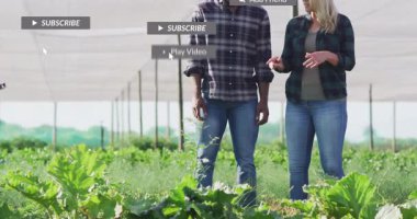 Tarım ekibi, ekinleri denetlemek için serada yürüyor ve sosyal simgeler ekliyor. Botanik, bahçıvanlık, işbirliği, yeşillik, dijital kaplama, büyüme, çevre dostu