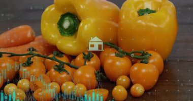 Teal dalga formu ortaya çıkıyor, sonra simgeler kayboluyor, kayıyor, biber ve domateslerin üzerinden geçip veri gösteriyor. Üretim, görselleştirme, simgeler, dijital, organik, sağlıklı, modern