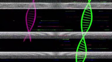 Arıza bantları aşağı kayıyor, pembe sarmal yükseliyor, yeşil sarmal dönüyor, yozlaşmayı gözünde canlandırıyor. Neon, dijital, soyut, teknoloji, fütüristik, bozulma, hareket