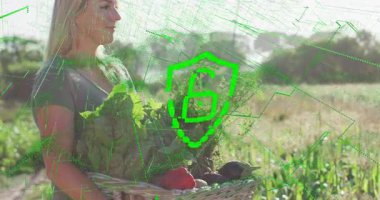 Olgun çiftçi elinde bir sepet yeşillik tutarak dijital kalkan geri sayımını başlatıyor ve hasadı kilitliyor. Kırsal, hasat, tarım, teknoloji, güvenlik, dijital, tazelik