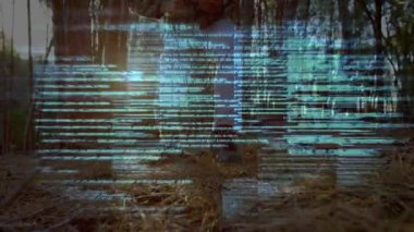 İnsansız hava aracı hobisi yürüyen orman, hareket kod örtüsüne neden oluyor, uçuş için insansız hava aracını geri almak için diz çöküyor. Teknoloji, açık hava, hava, macera, doğa, yenilik, keşif