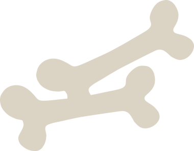 Bir çift stilize kemik şekli, şeffaf arkaplan ve düz tasarım üzerinde çapraz olarak kesişiyor. Minimalist, grafik tasarımı, ikonografi, veterinerlik, hayvan aksesuarları, illüstrasyon, modern