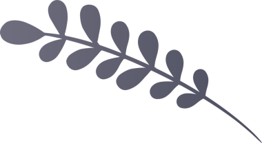 Stylized dark gray branch is floating in flat design, showing oval leaves on transparent background. Botanical, illustration, graphic, minimalism, nature, ornament, design